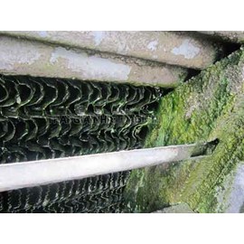 Hoá chất Chống vi Sinh và Rêu Tảo Cho Tháp Giải Nhiệt (Cooling tower) AT-1200