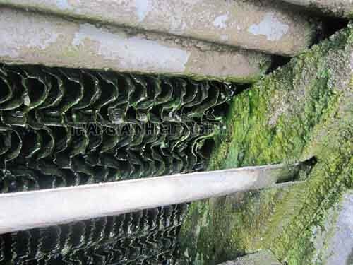 Hoá chất Chống vi Sinh và Rêu Tảo Cho Tháp Giải Nhiệt (Cooling tower) AT-1200